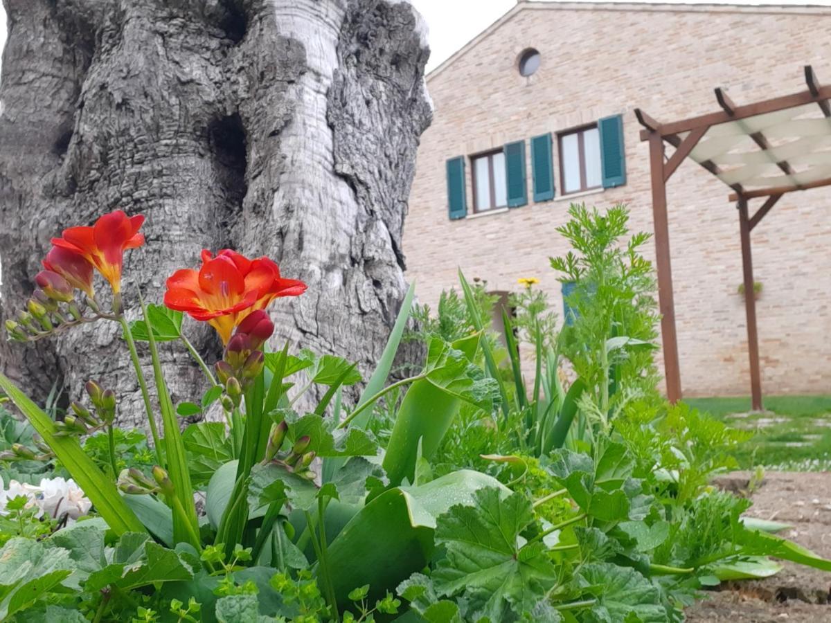 Casale Del Conero Aparthotel Porto Recanati Ngoại thất bức ảnh